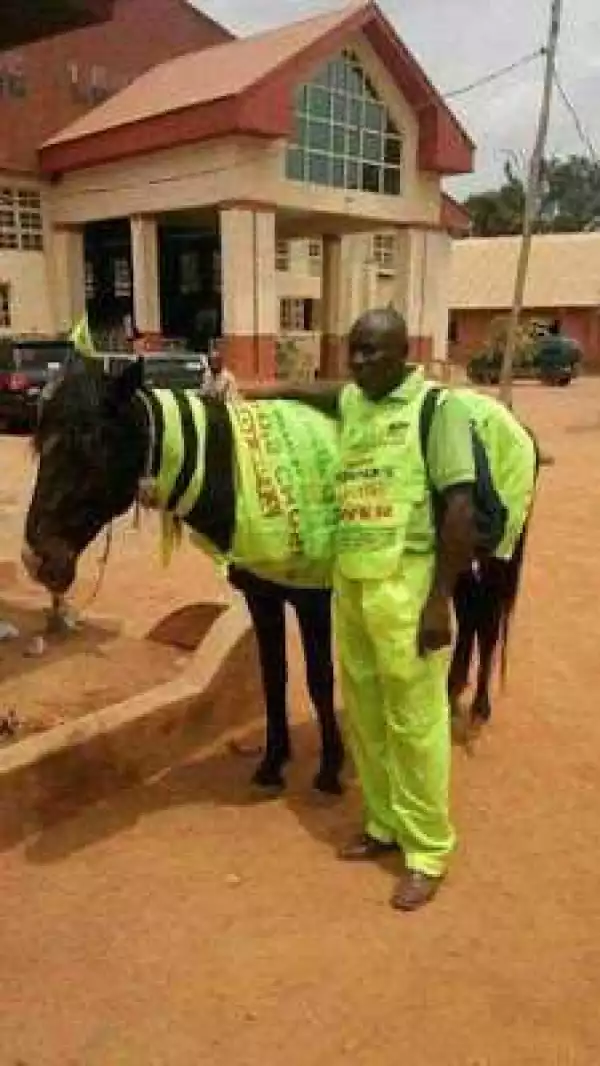 Omg! See Horse Spotted Wearing Lord